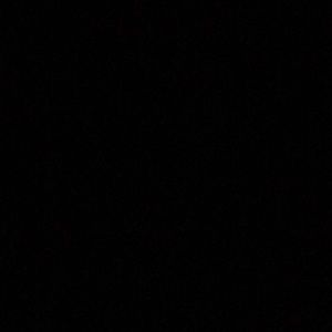 Meet your Posher, Dajon